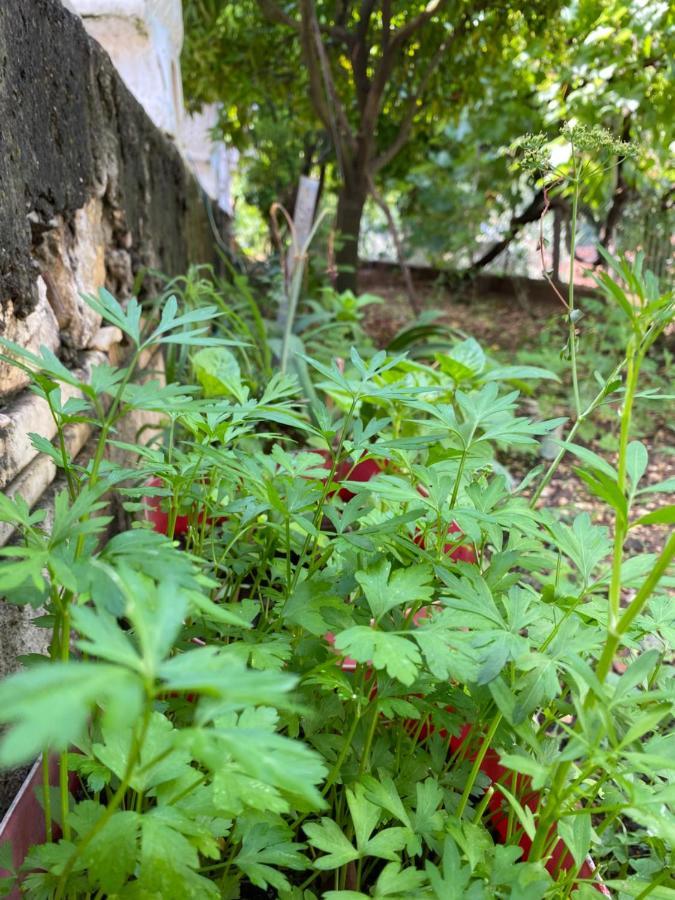 Marl'S Home Berat Luaran gambar